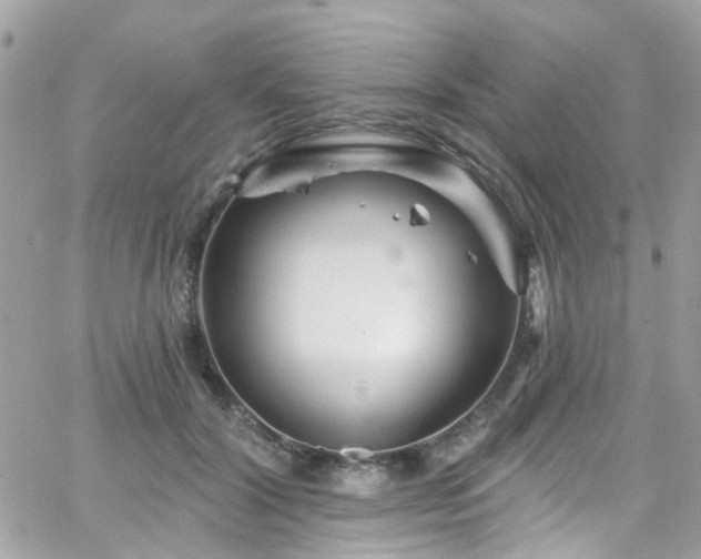 X0000066530604200603241403