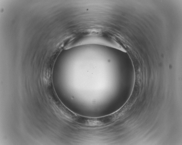 X0000066530605200603241403