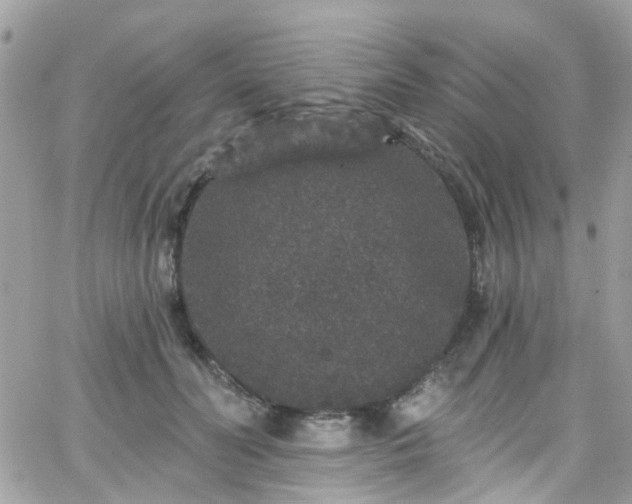 X0000066530606200603241403