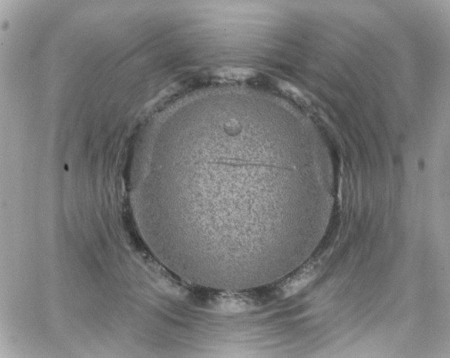 X0000066530608200603241403