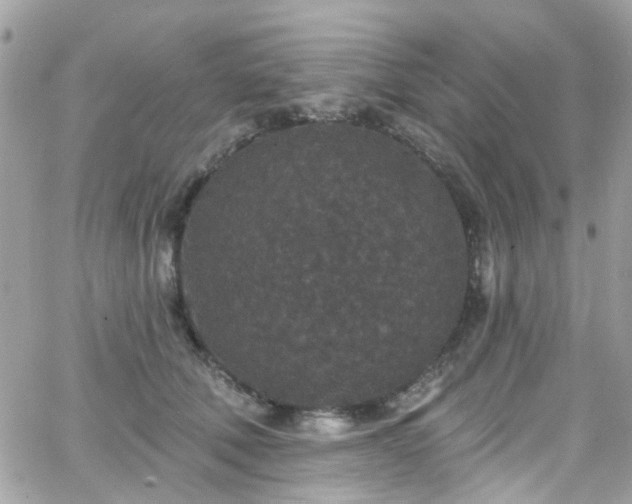 X0000066530610200603241403