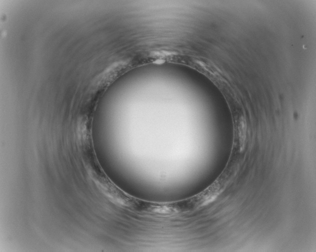 X0000066530611200603241403