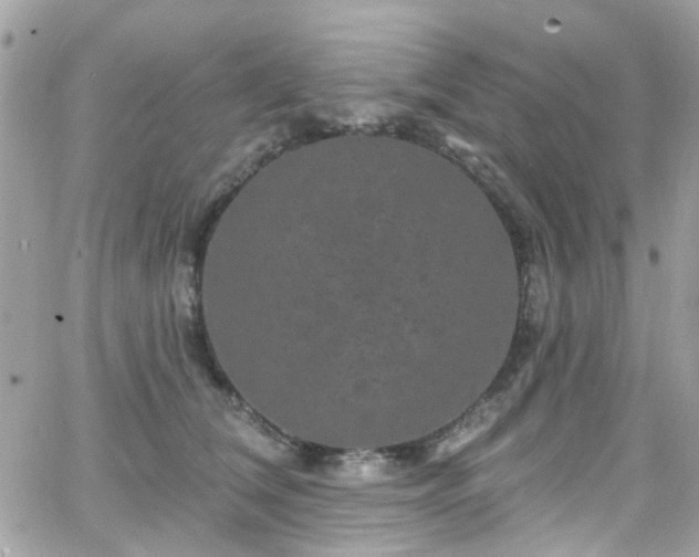 X0000066530612200603241403