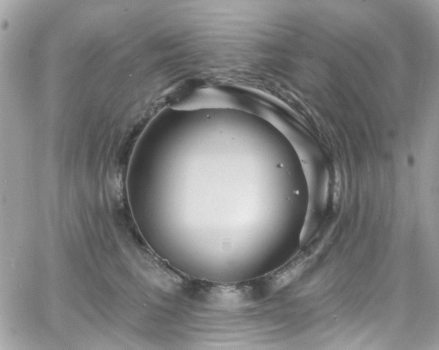 X0000066530613200603241403