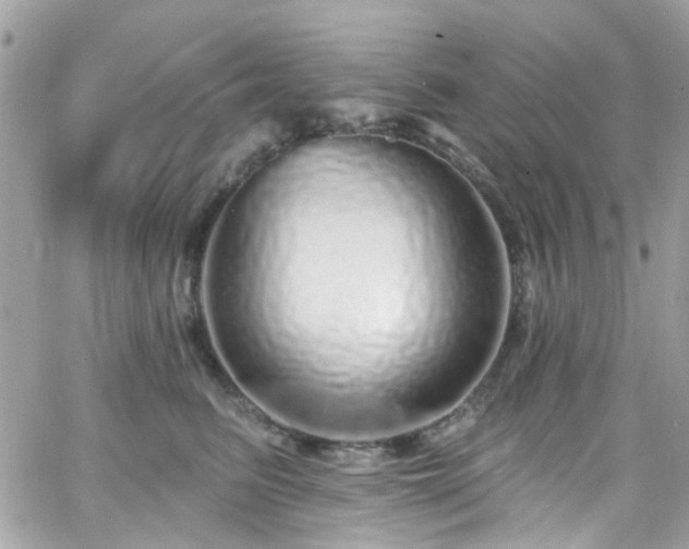 X0000066530615200603241403