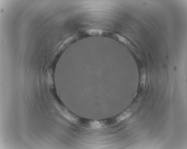 X0000066530616200603241403