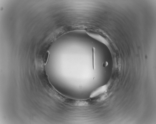 X0000066530617200603241403