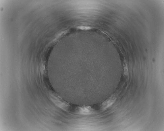 X0000066530618200603241403