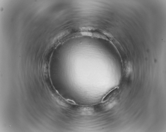 X0000066530619200603241403