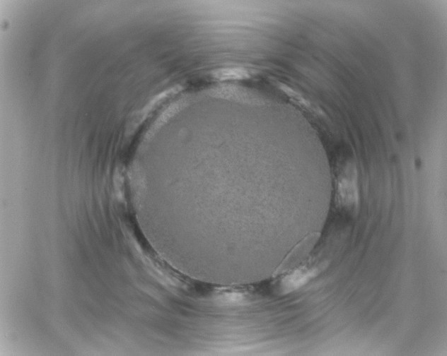 X0000066530620200603241403