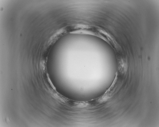 X0000066530621200603241403