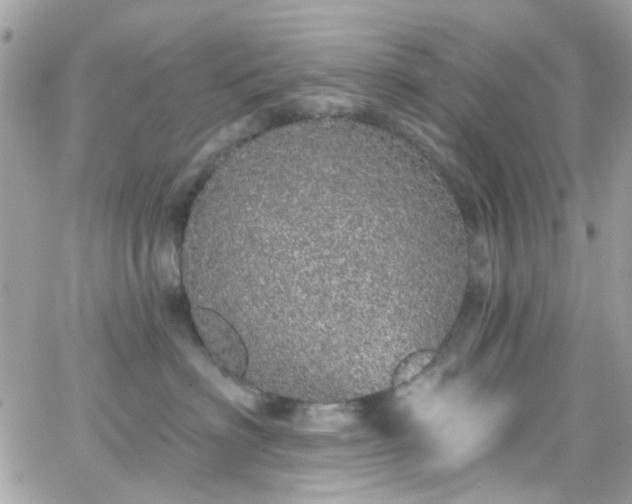 X0000066530622200603241403