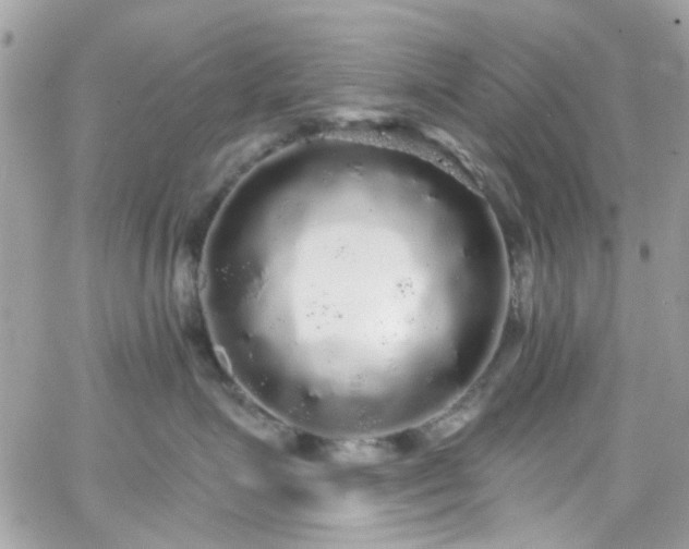 X0000066530623200603241403