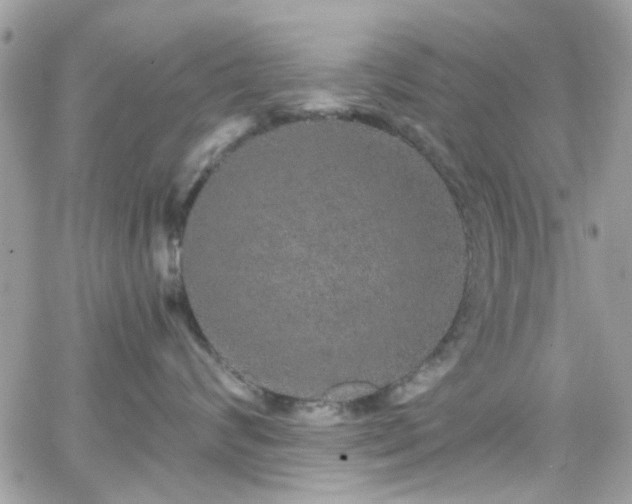 X0000066530624200603241403