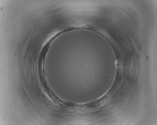 X0000066530626200603241402