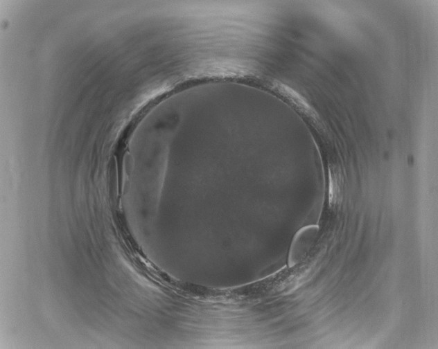 X0000066530627200603241402