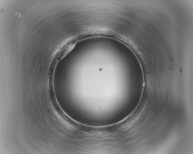 X0000066530629200603241402