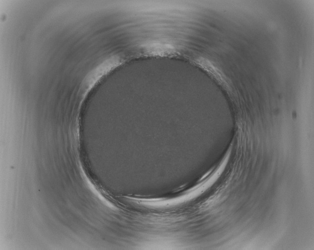 X0000066530630200603241402