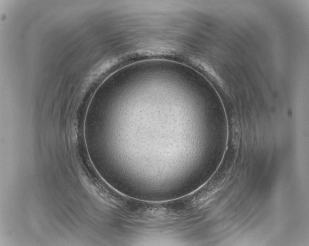 X0000066530631200603241402