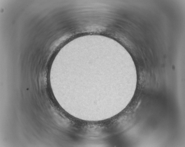 X0000066530632200603241402