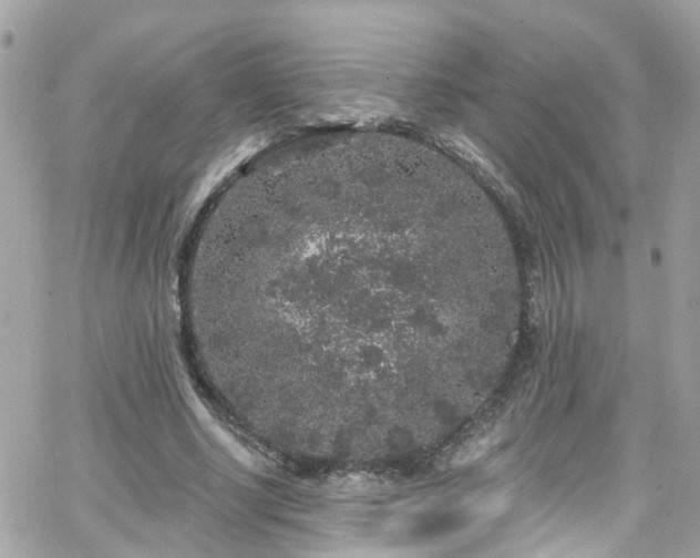 X0000066530634200603241402