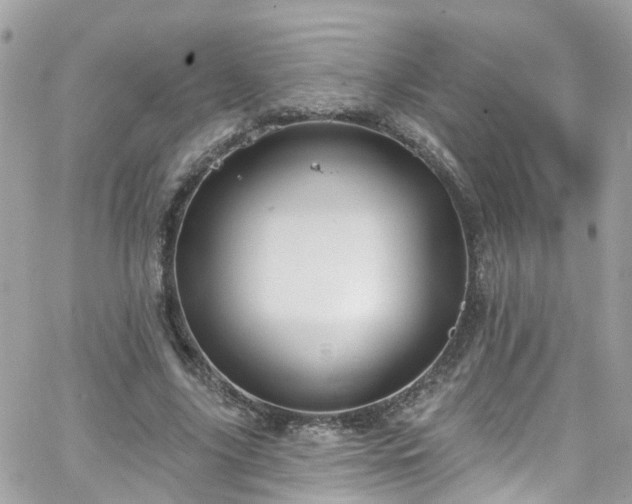 X0000066530635200603241402