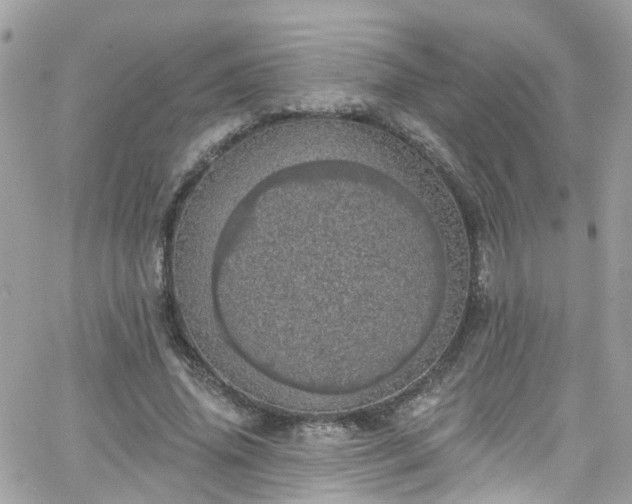 X0000066530636200603241402