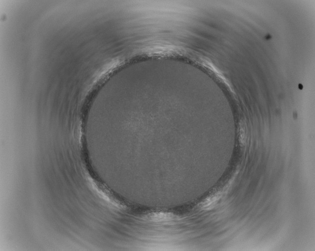 X0000066530637200603241402