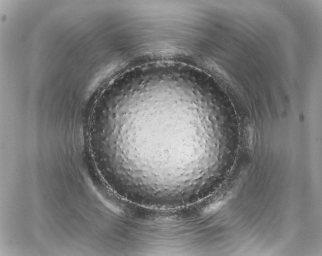 X0000066530638200603241402