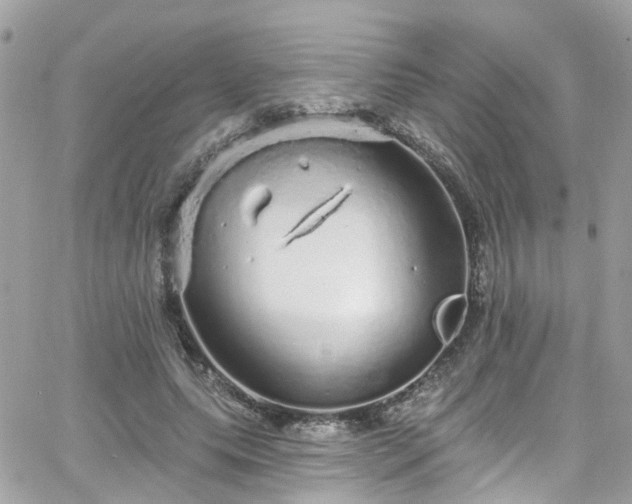 X0000066530639200603241402