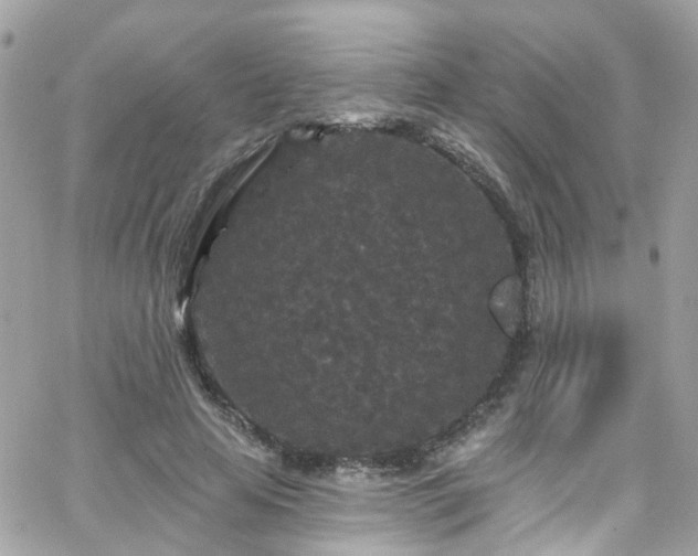 X0000066530641200603241402