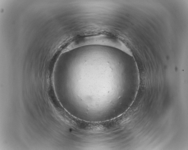 X0000066530642200603241403