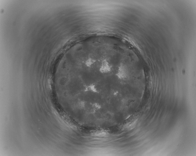 X0000066530643200603241403