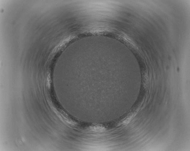 X0000066530644200603241403