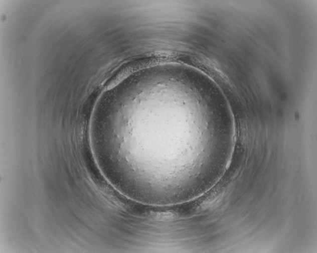 X0000066530645200603241403