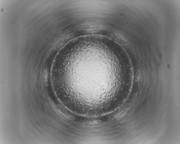 X0000066530646200603241403