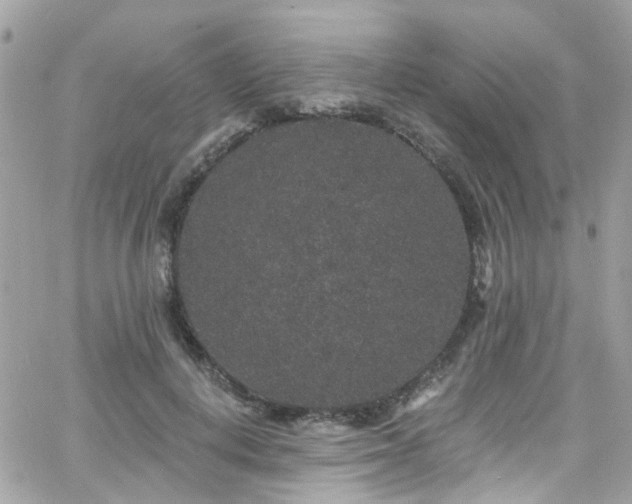 X0000066530648200603241403