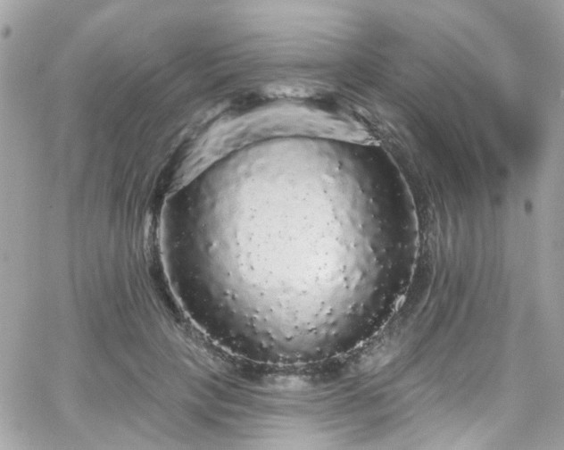 X0000066530649200603241403