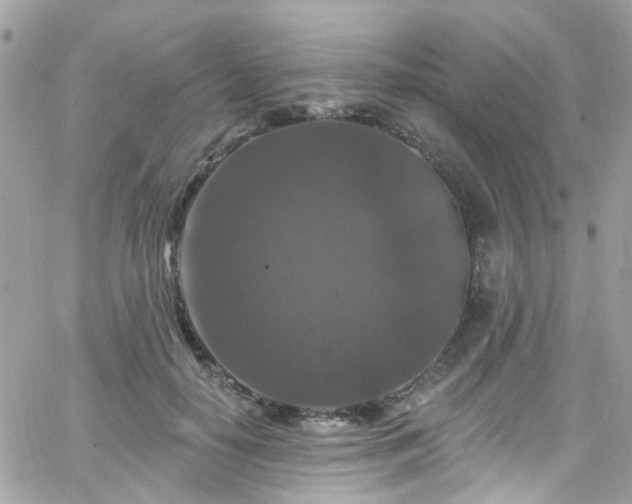 X0000066530650200603241403