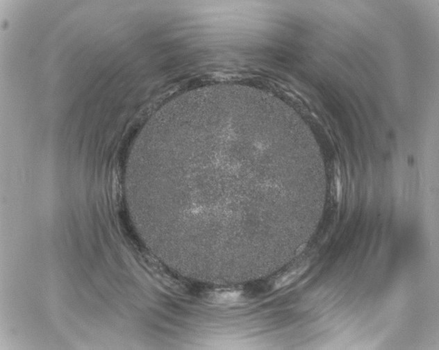 X0000066530651200603241403