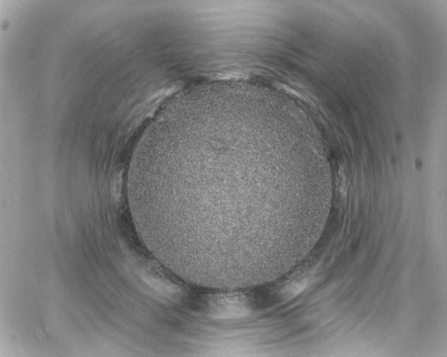 X0000066530652200603241403