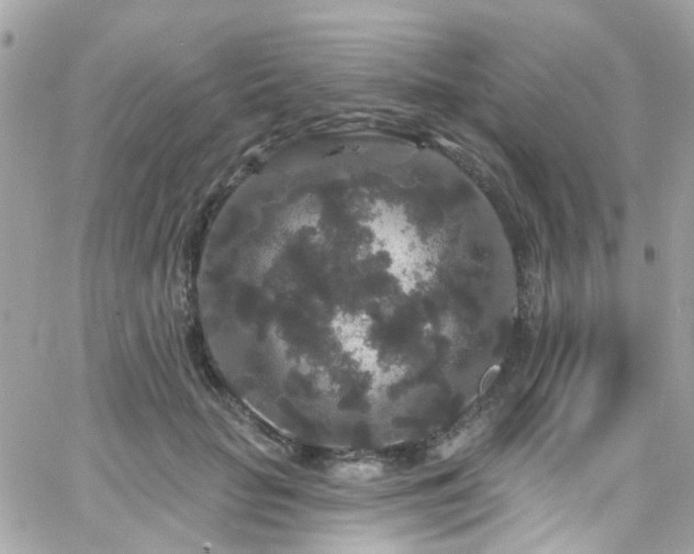 X0000066530653200603241403