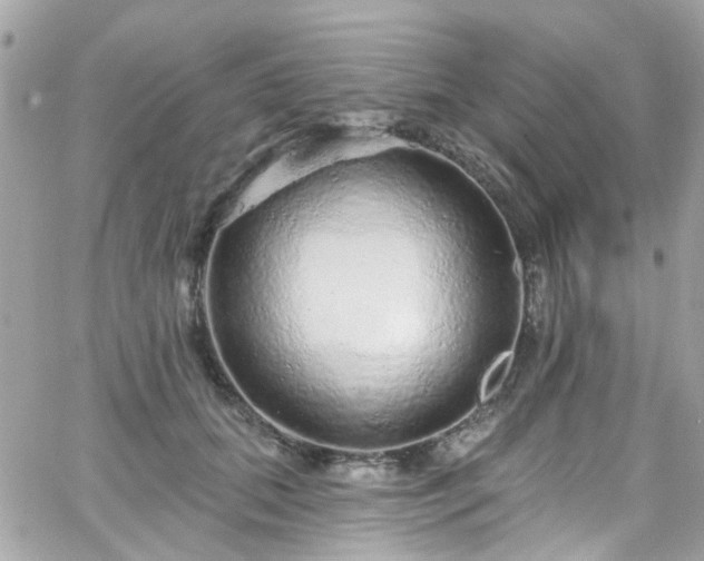 X0000066530655200603241403