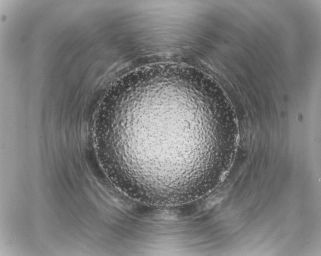 X0000066530656200603241403