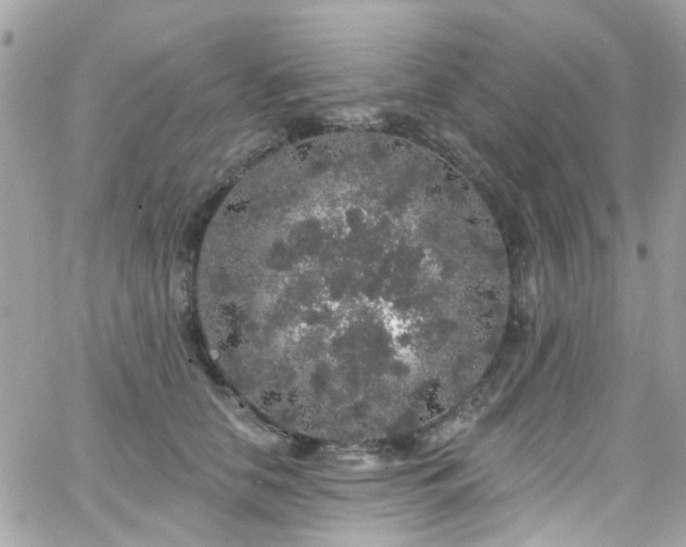 X0000066530658200603241403