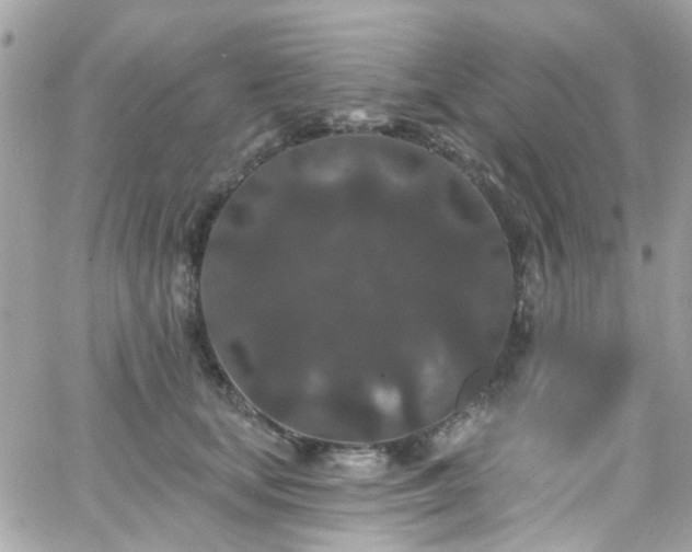 X0000066530659200603241403