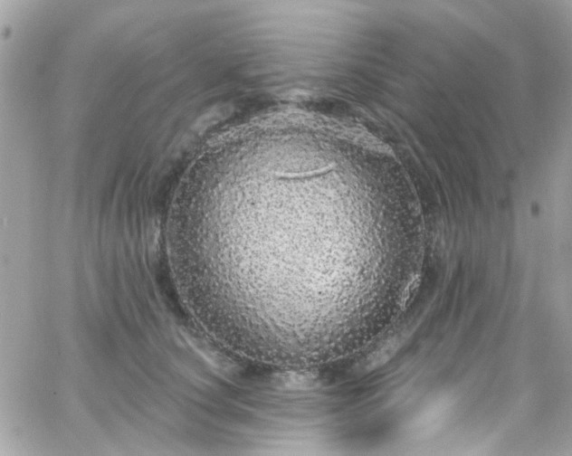 X0000066530660200603241403