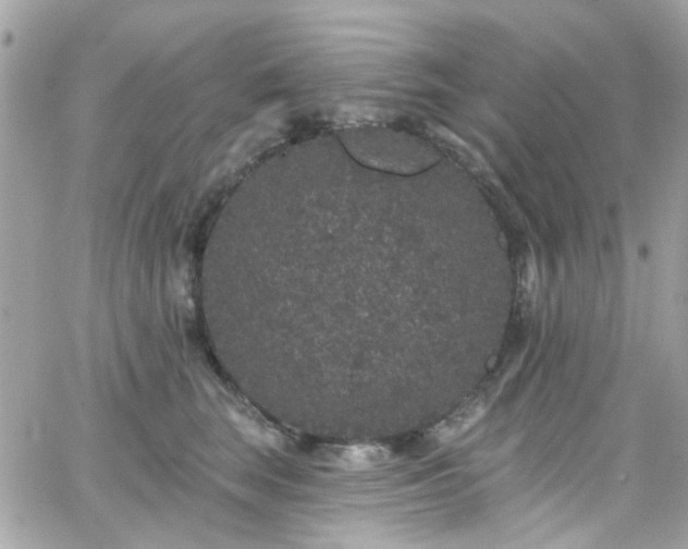 X0000066530663200603241403