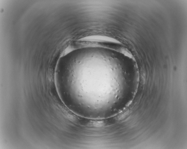 X0000066530665200603241403