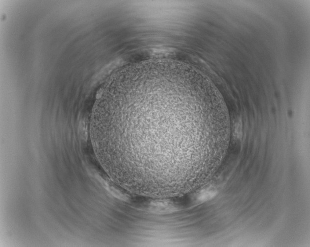 X0000066530666200603241403